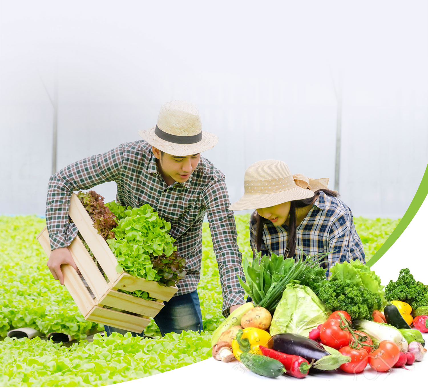 Mobile :: Home Masthead :: 02