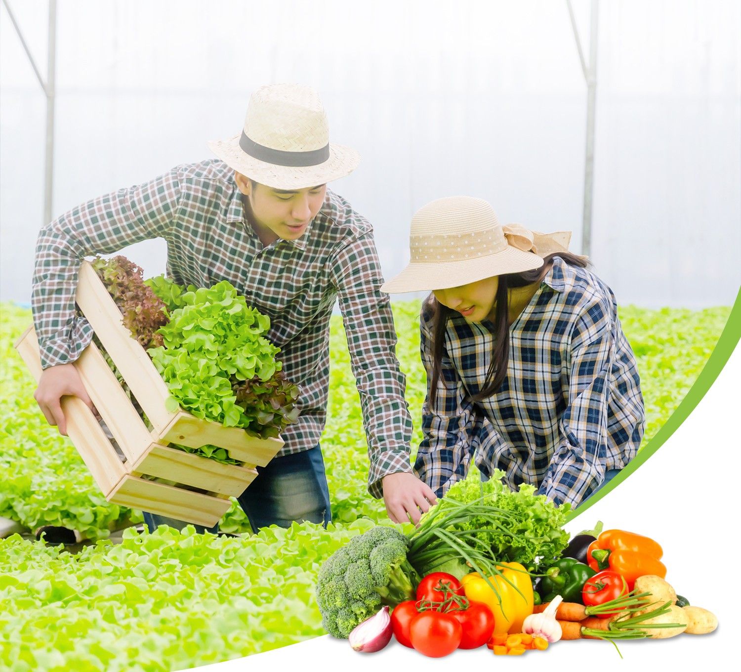 Mobile :: Home Masthead :: 02