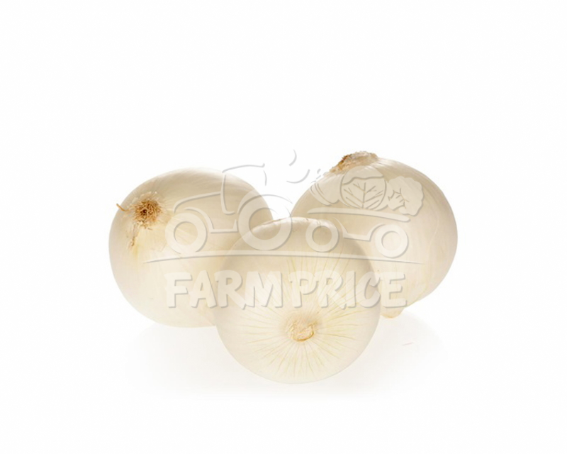 Peeled Yellow Onion