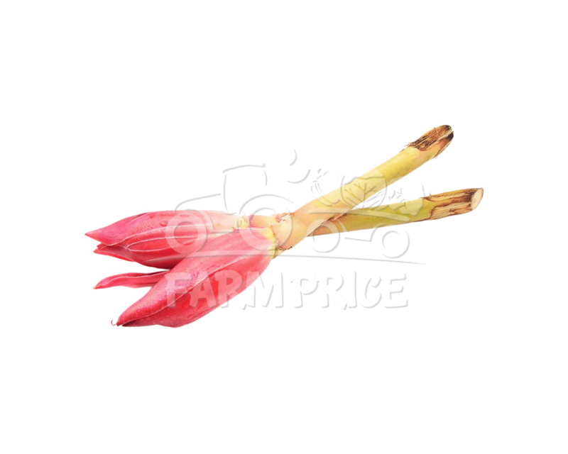 Rojak Flower