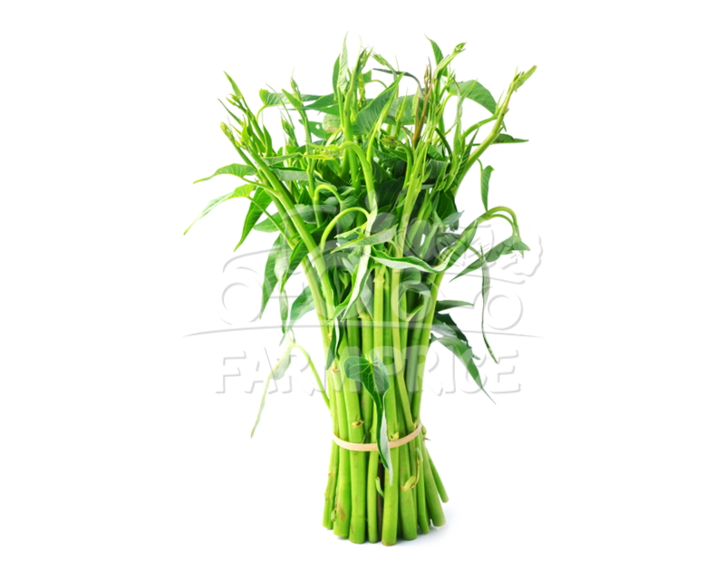 Kangkong