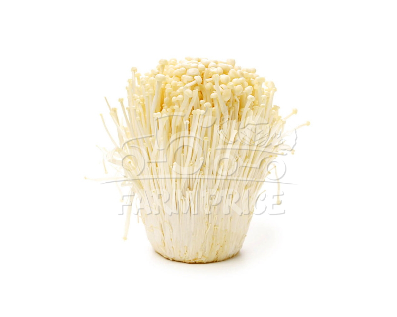Enoki Mushroom