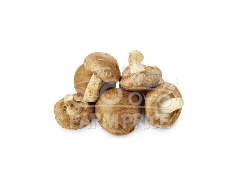 Mushroom Shitake