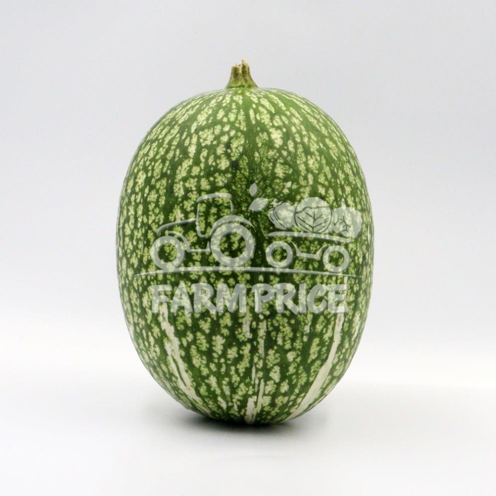 Sharkfin Melon