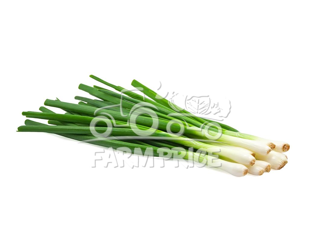 Leek Cameron