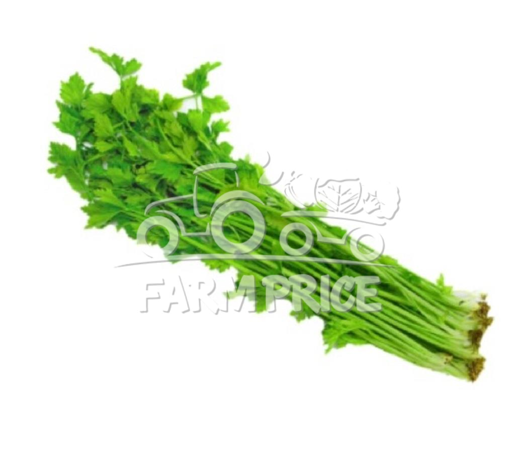 Chinese Celery