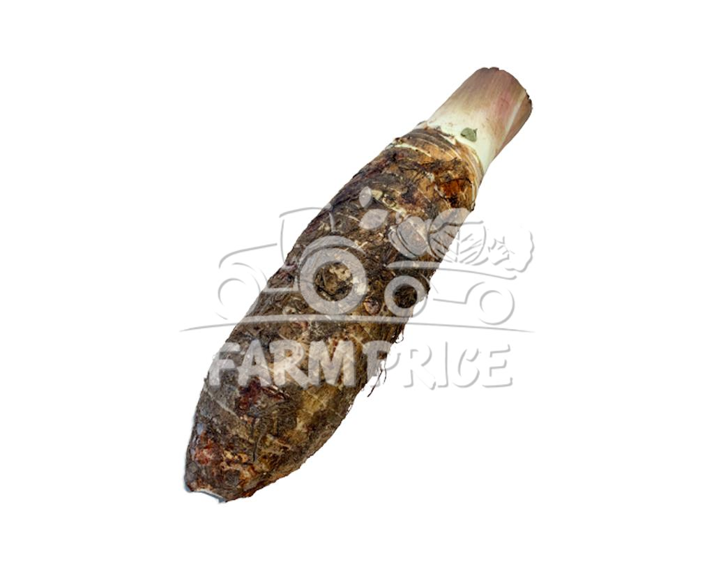 Yam