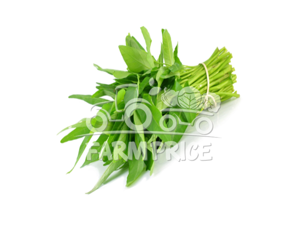 Water Spinach Kangkung