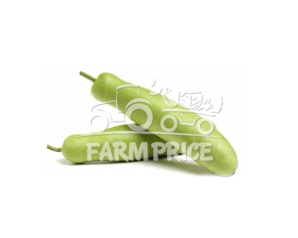 Water Gourd