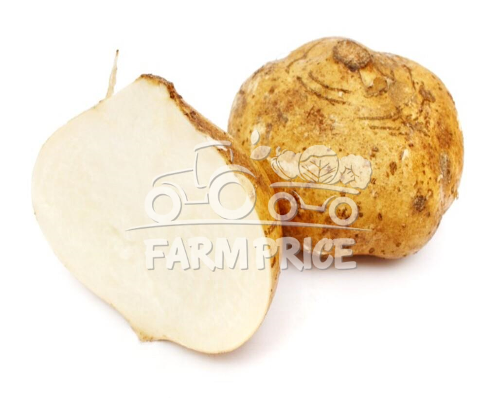 Turnip