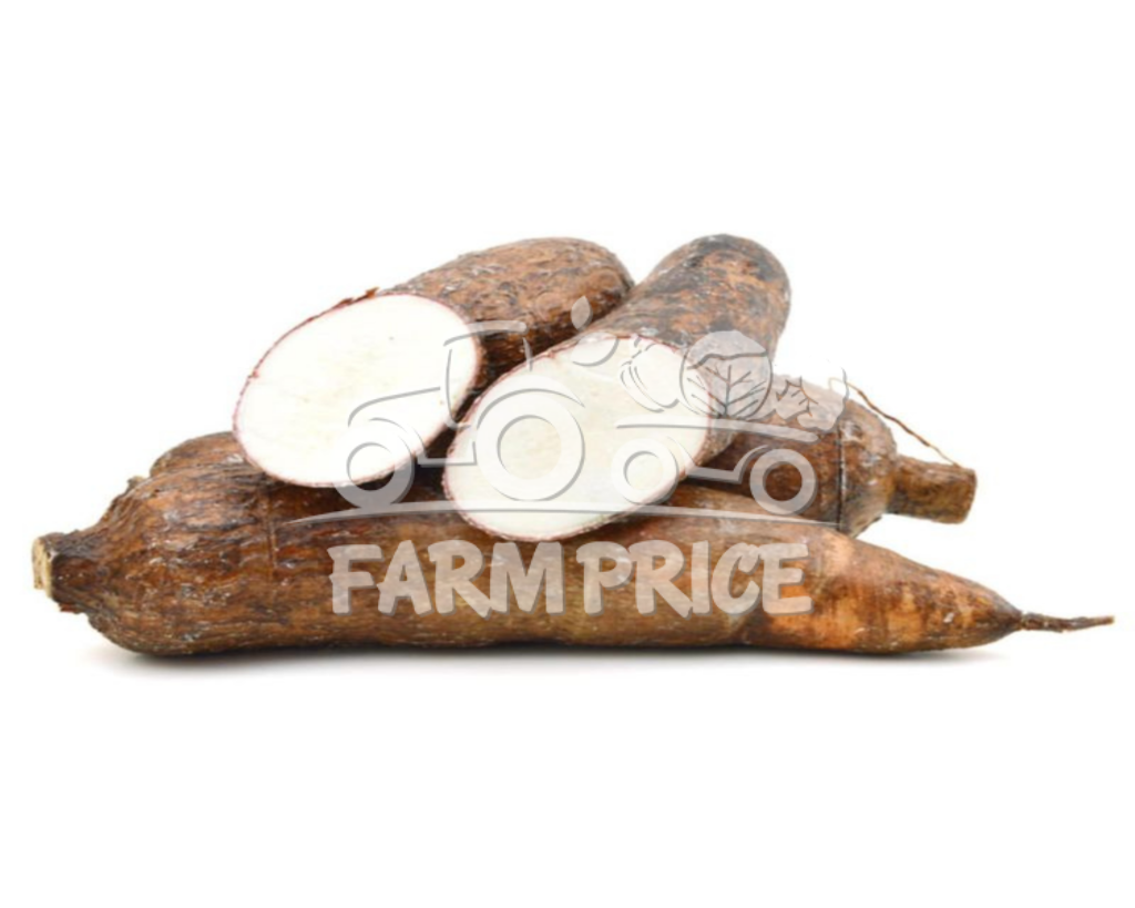 Tapioca