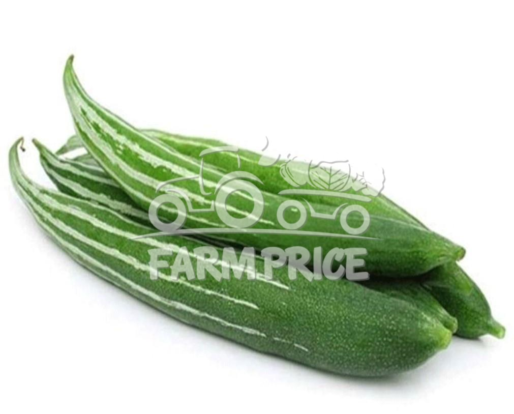 Snake Gourd
