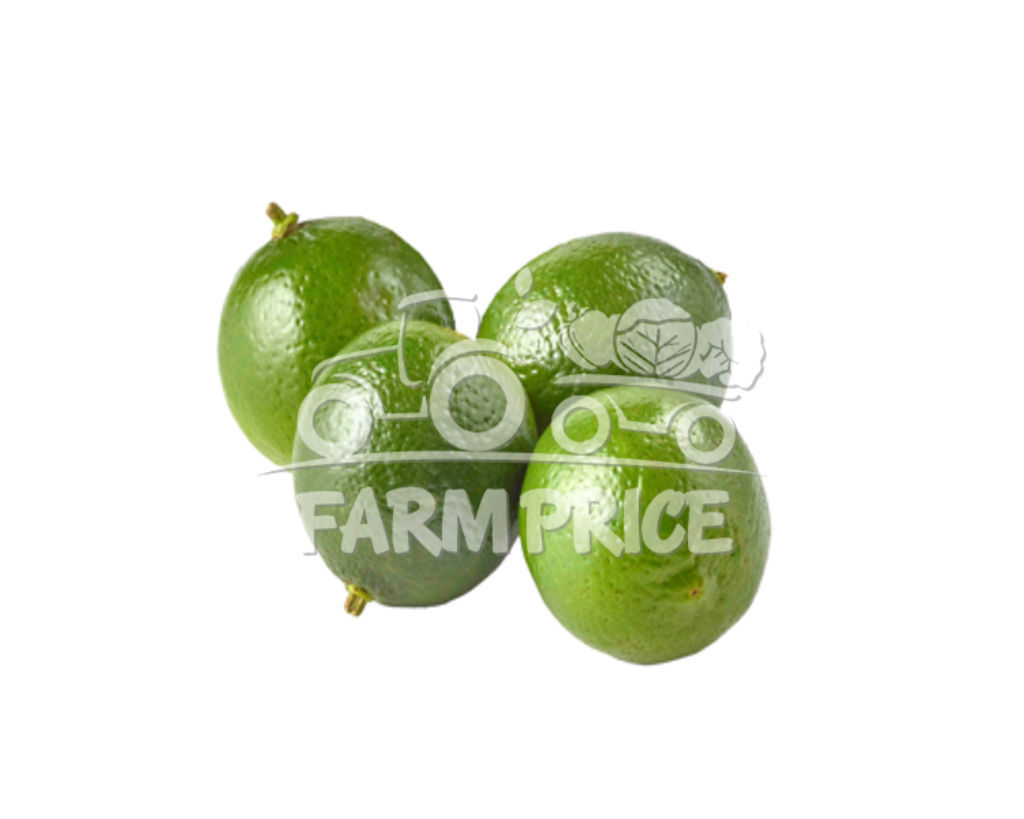 Small Lime