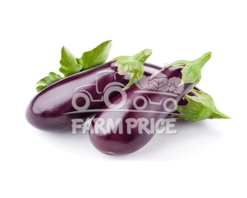 Round Brinjal