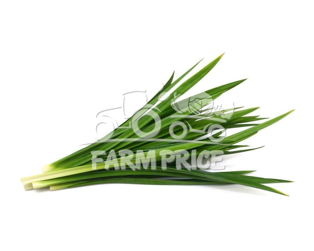 Pandan Leaves