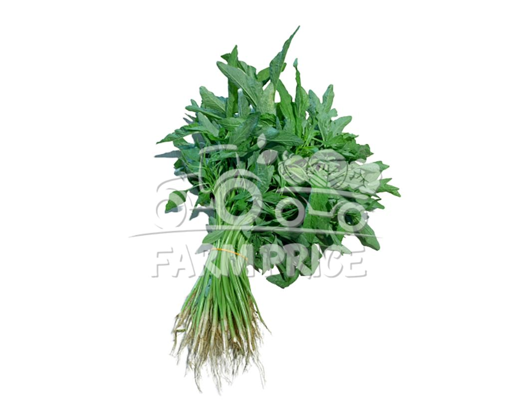 Long Spinach