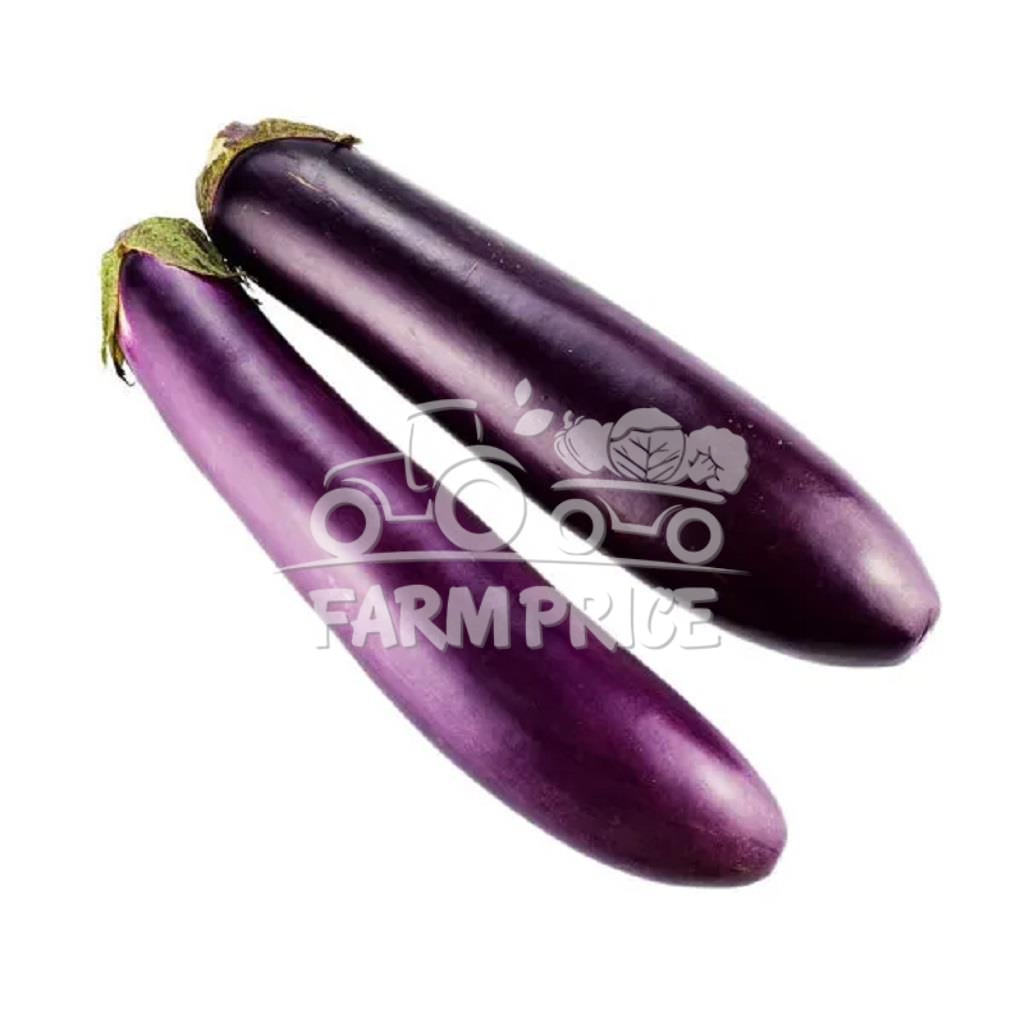 Long Brinjal
