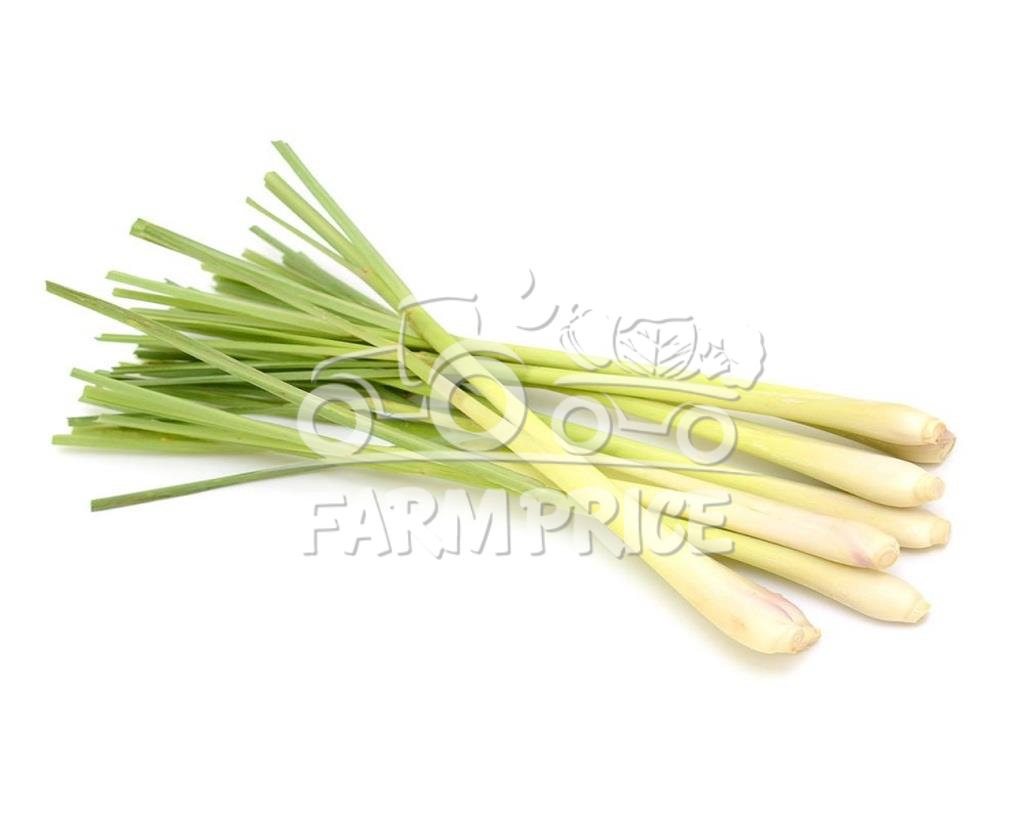 Lemon Grass