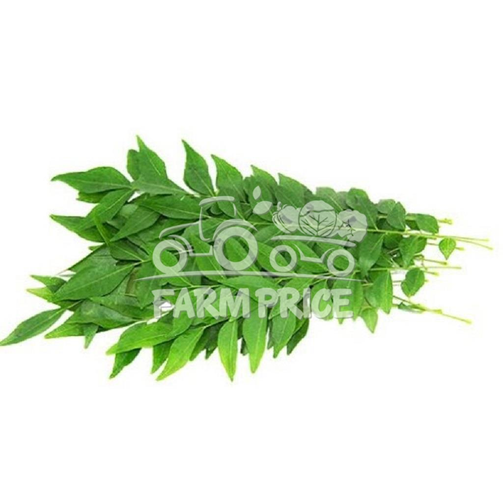 Curry Leaves
