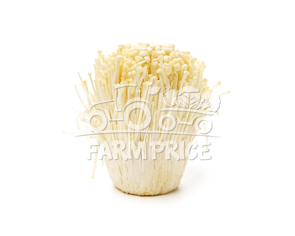 Enoki