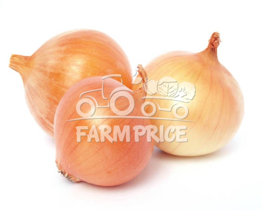 Yellow Onion