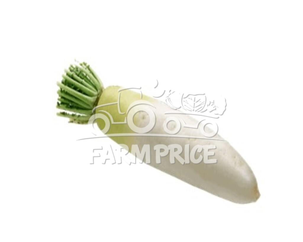 White Raddish