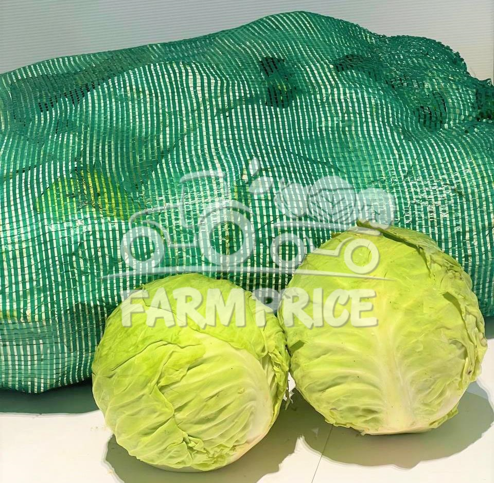 Round Cabbage