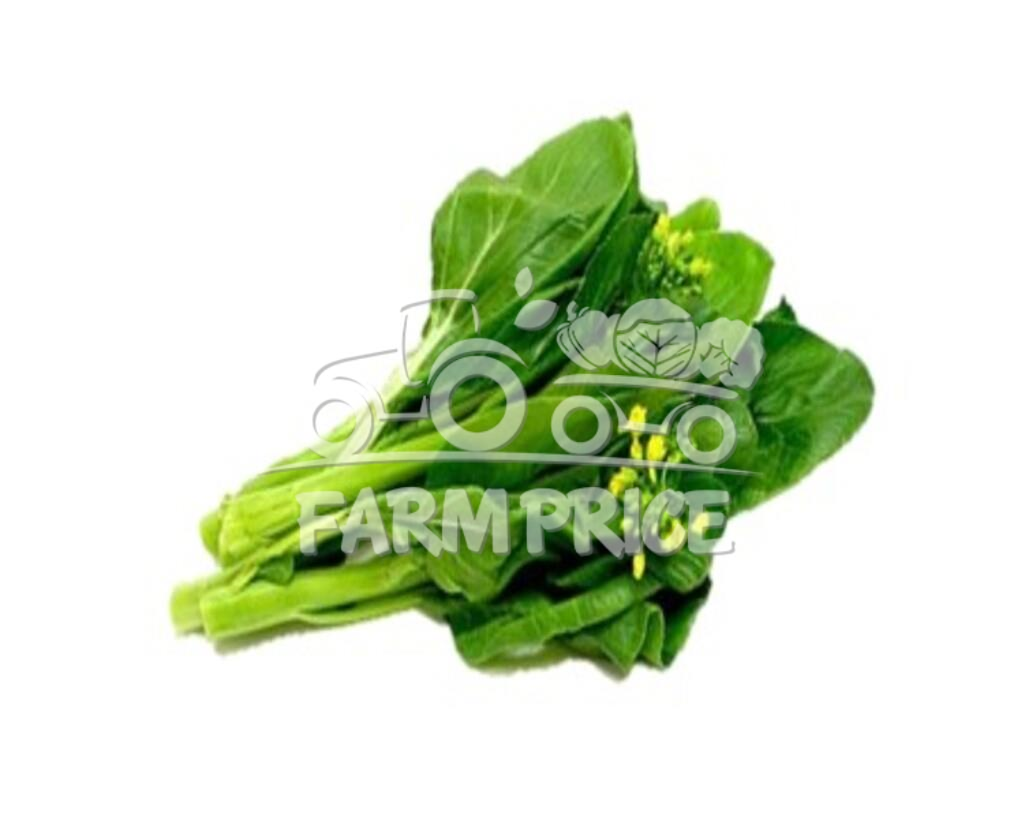 HK Gai Lan