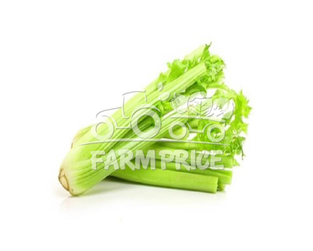 Celery