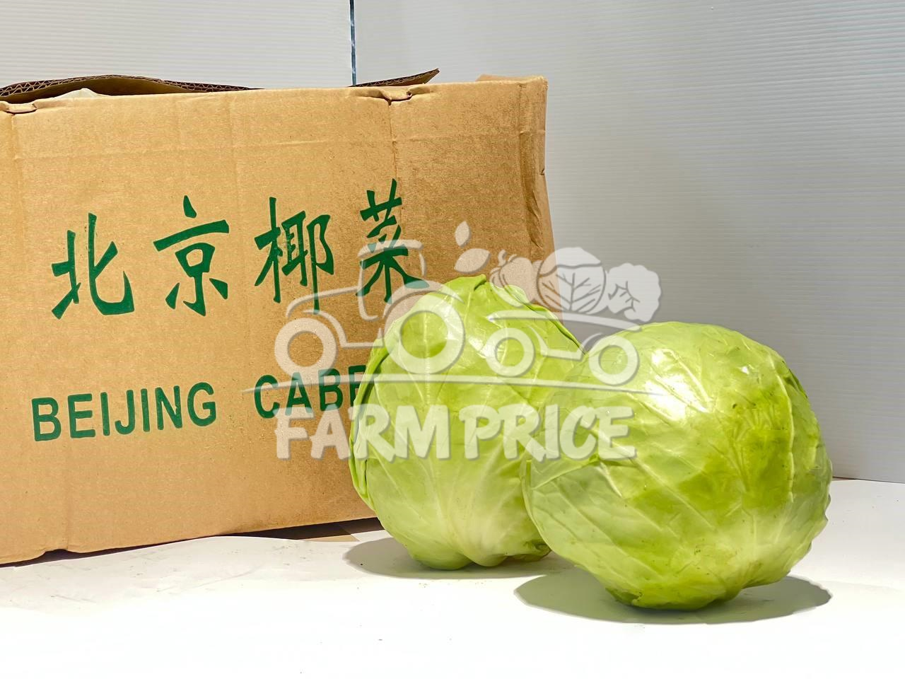 Cabbage Beijing