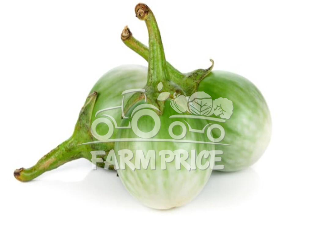 Small White Brinjal