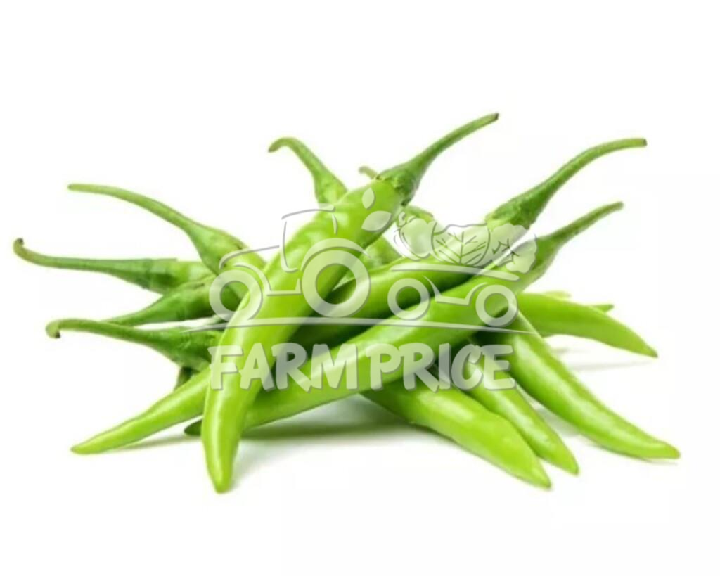 Small Green Chili