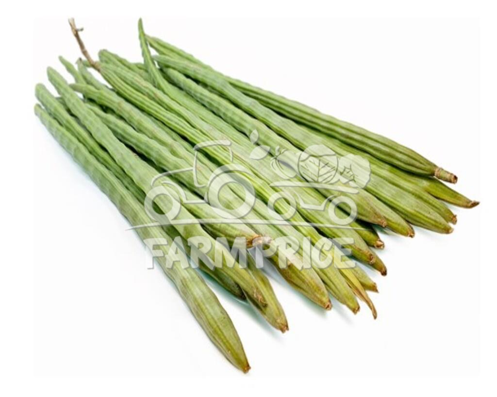 Drumstick