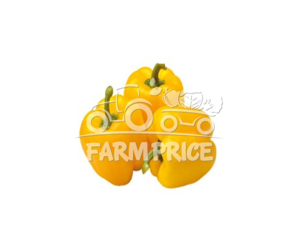 Capsicum Yellow